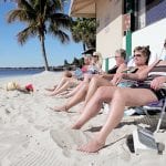 article image -